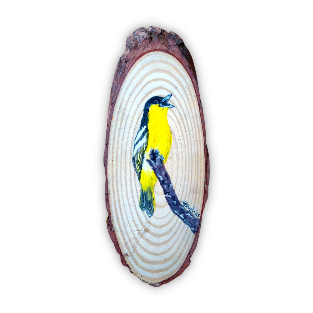 Acrylic Birds of Yercaud Painting - Kreate- Painting