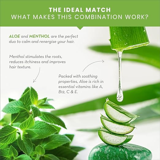 Alvino Herbal Hair Wash Shampoo with Amla, Ritha and Shikakai for Stronger, Shiner and Smoother Hair 100 ml (Pack of 1) - Kreate- Shampoos