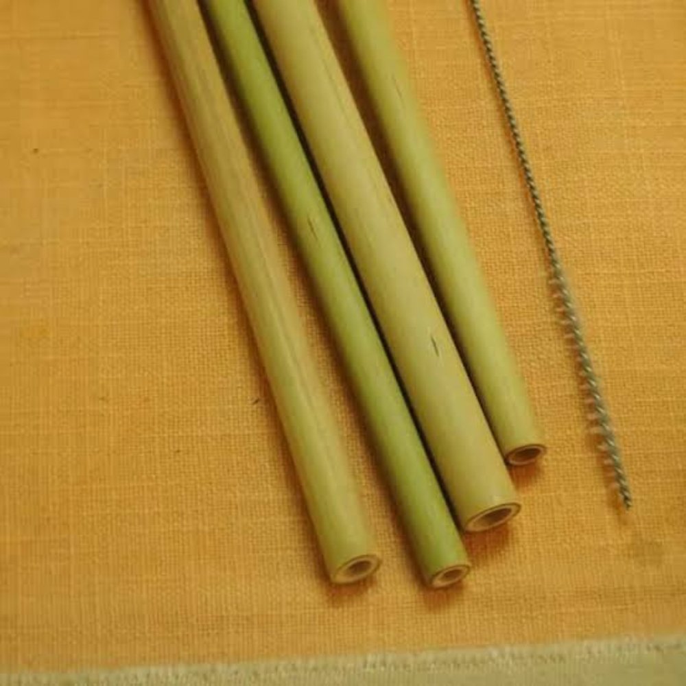 Bamboo Straw (Pack of 2) - Kreate- Serveware