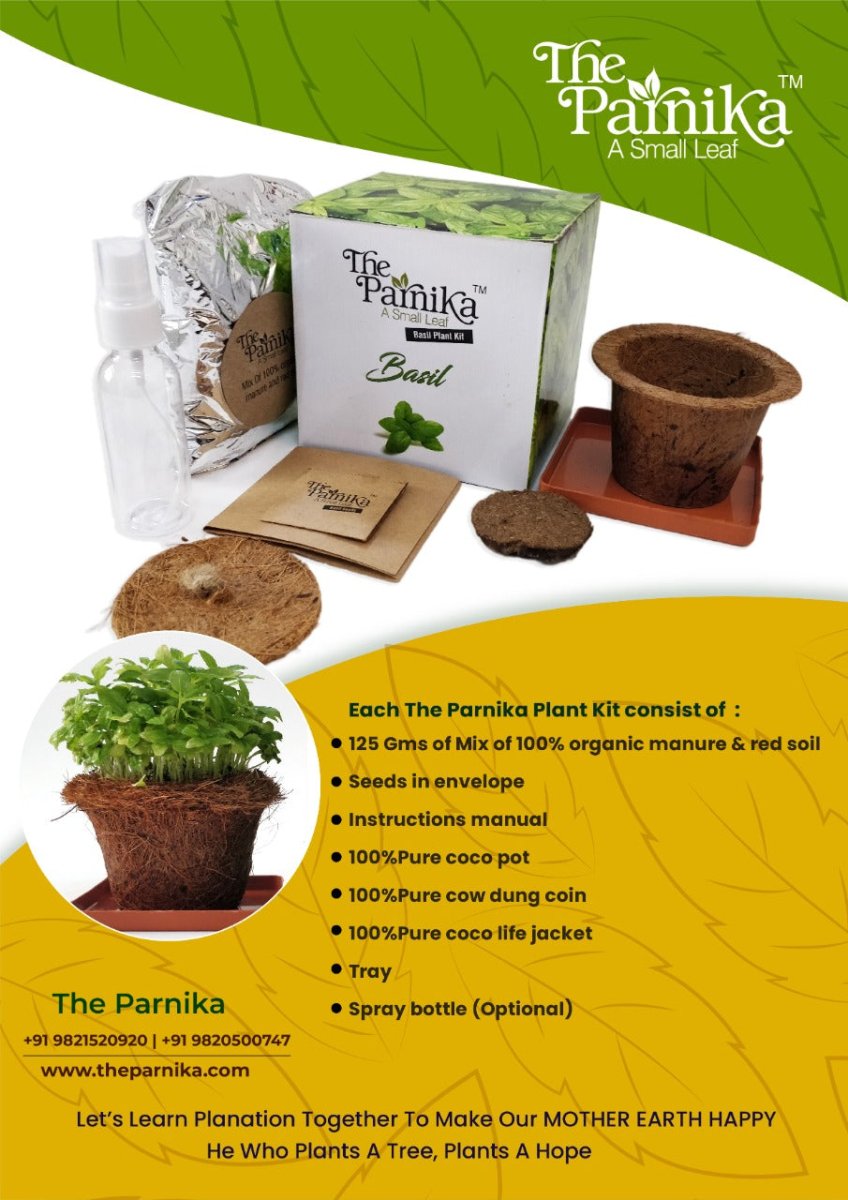 Basil Plant KIt - Kreate- Plants