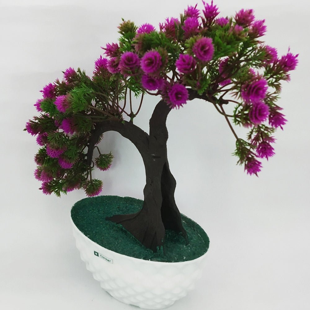Bonsai Twins Plant in Boat - Kreate- Plants