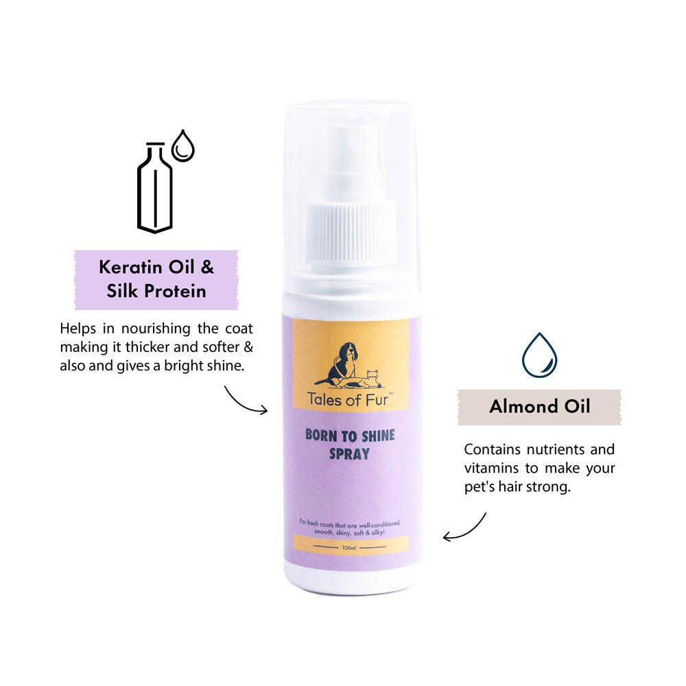 Born to Shine Spray for Dogs (100ml) - Kreate- Pet Grooming