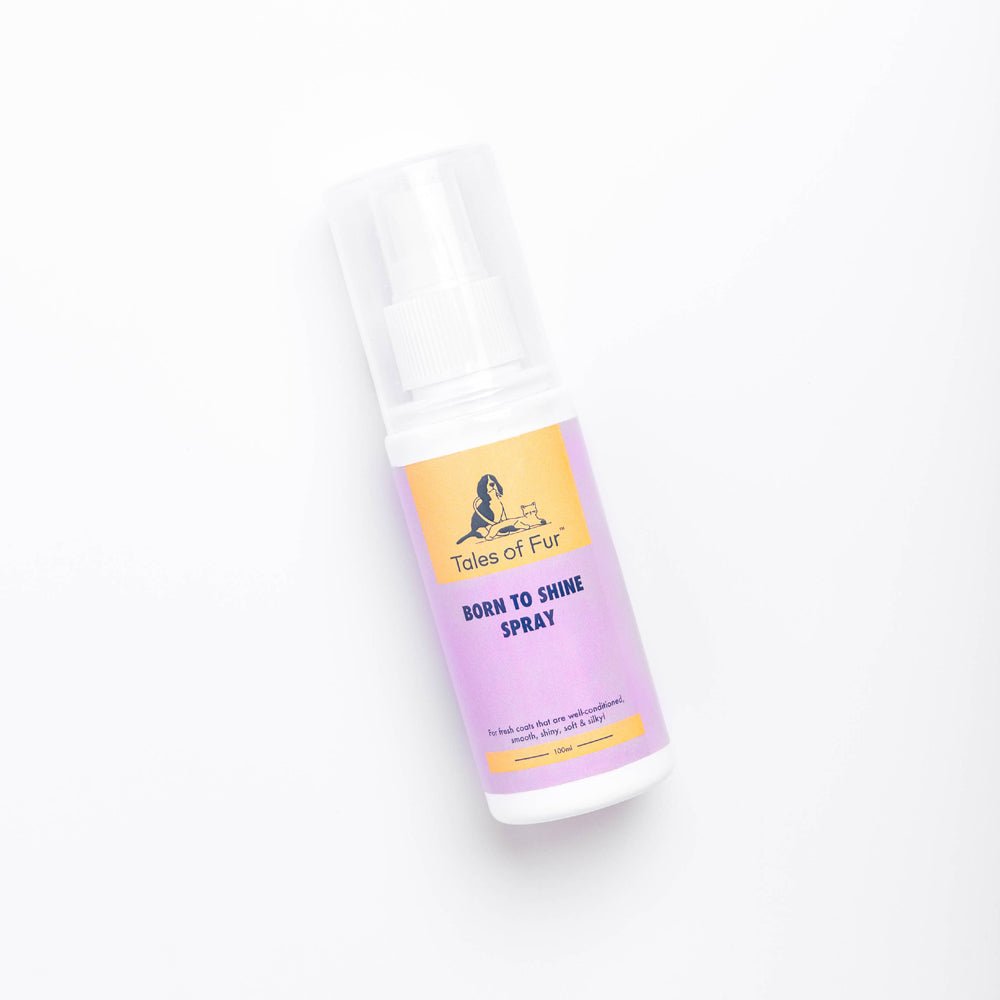 Born to Shine Spray for Dogs (100ml) - Kreate- Pet Grooming