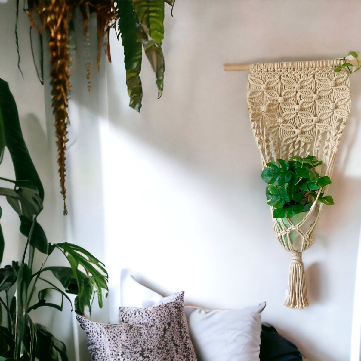 Botanical Braid - Macrame Single Plant Holder - Kreate- Planters & Pots