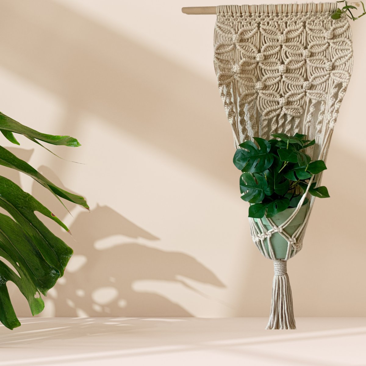 Botanical Braid - Macrame Single Plant Holder - Kreate- Planters & Pots