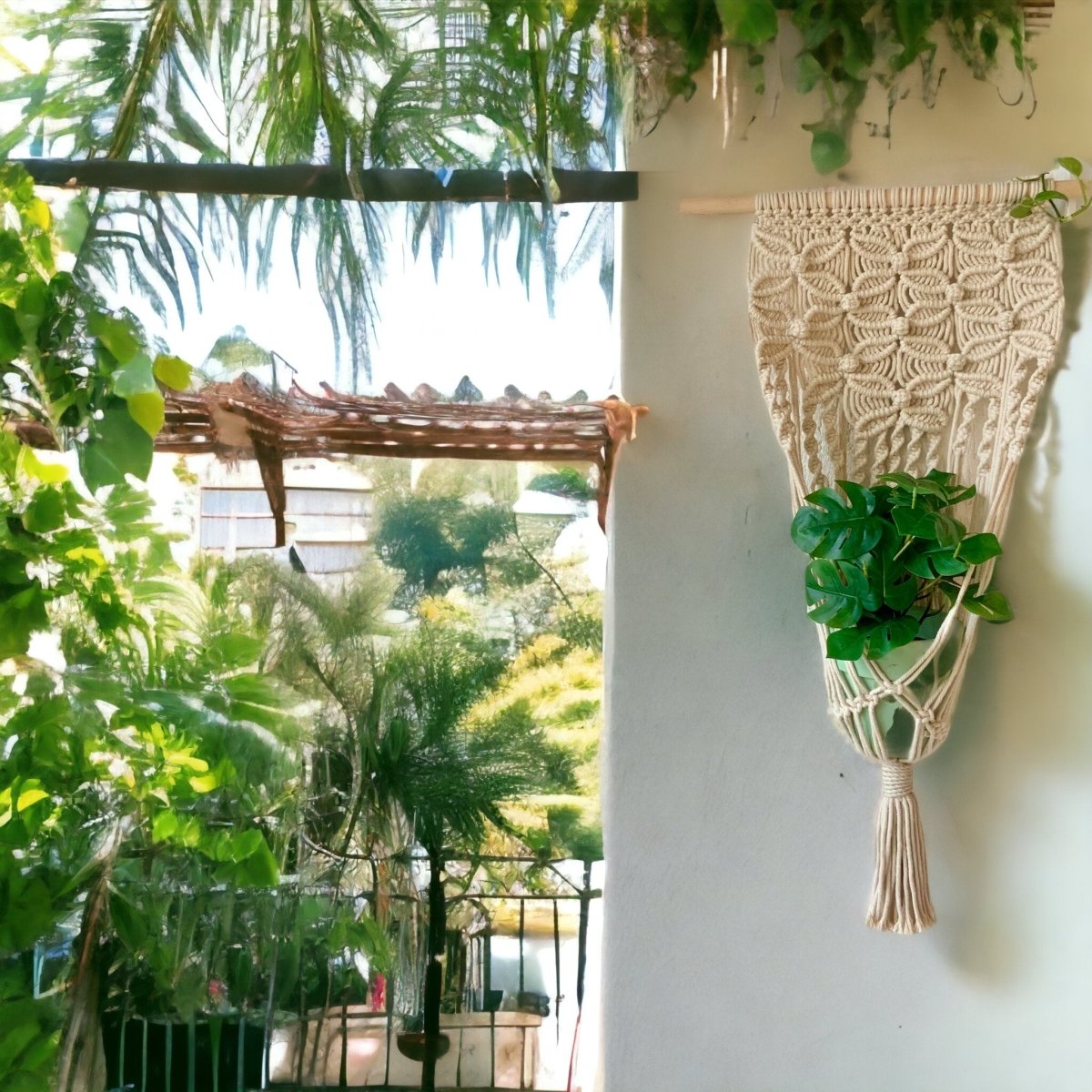 Botanical Braid - Macrame Single Plant Holder - Kreate- Planters & Pots