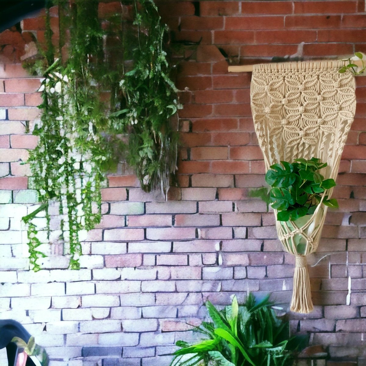 Botanical Braid - Macrame Single Plant Holder - Kreate- Planters & Pots