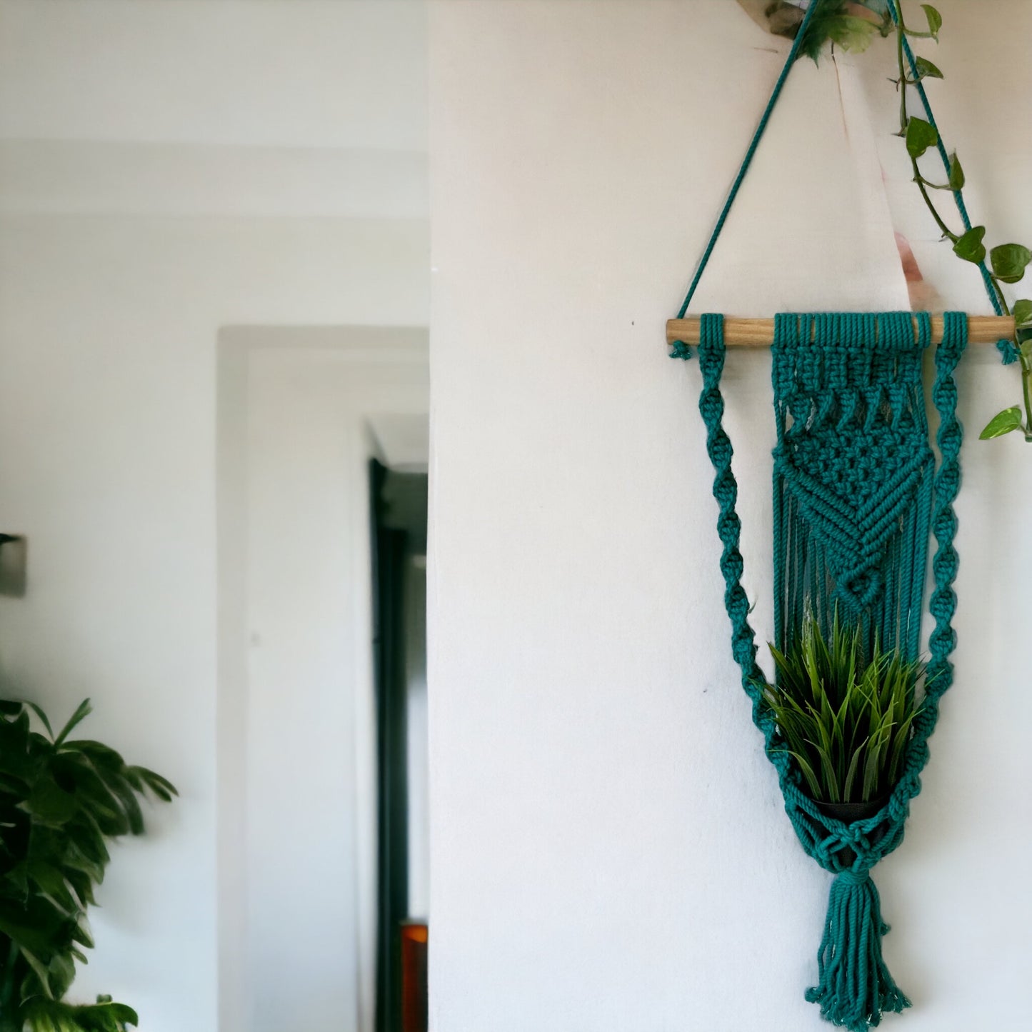 EASY KNOTS - Macrame Plant Hanger - Green
