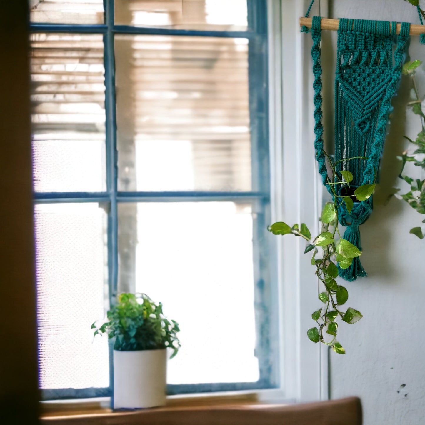 
                  
                    EASY KNOTS - Macrame Plant Hanger - Green
                  
                