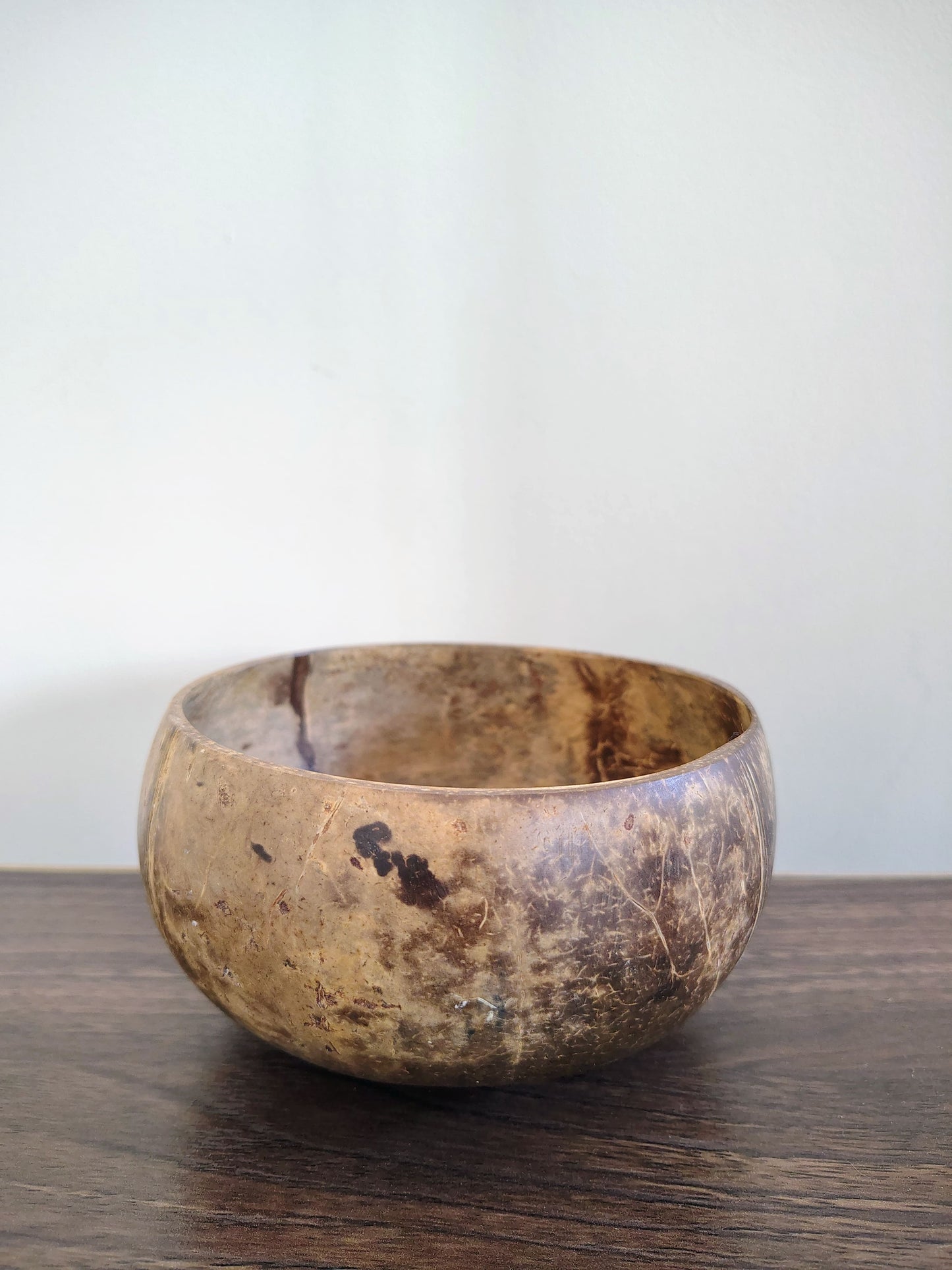 Coconut Shell Jumbo Bowls