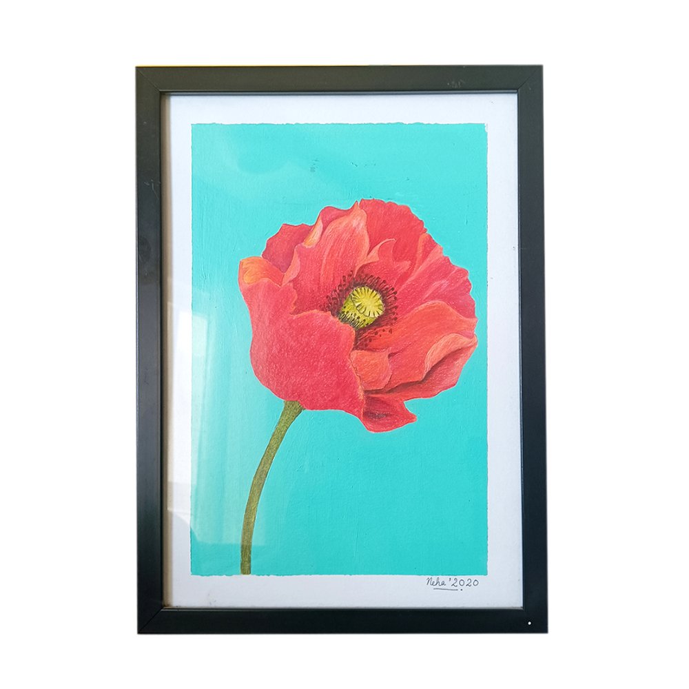 Red Poppy Colour Pencil Painting - Kreate- Painting