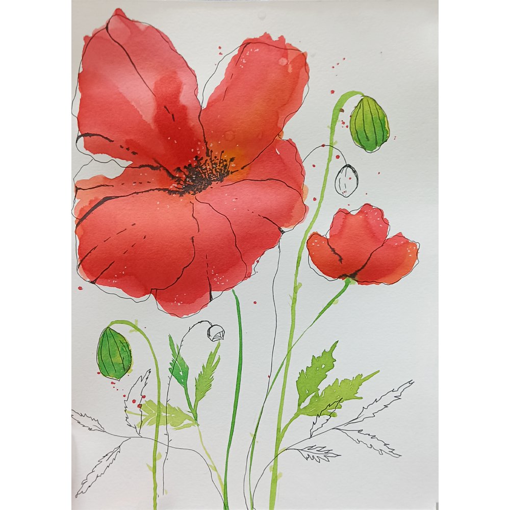Red Poppy - Watercolour - Kreate- Painting
