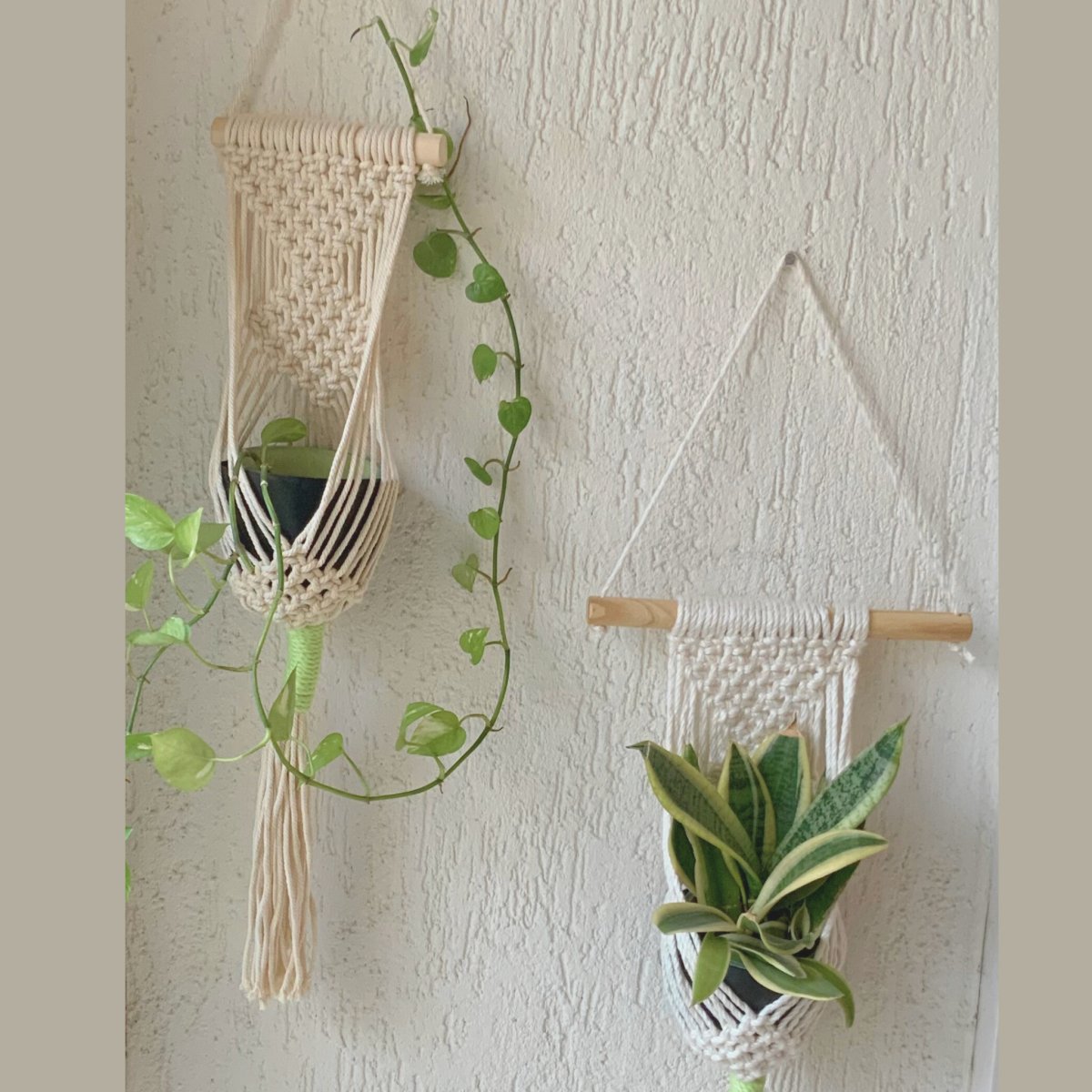 
                  
                    SERENE SWINGS - Macrame Plant Hanger - Kreate- Planters & Pots
                  
                