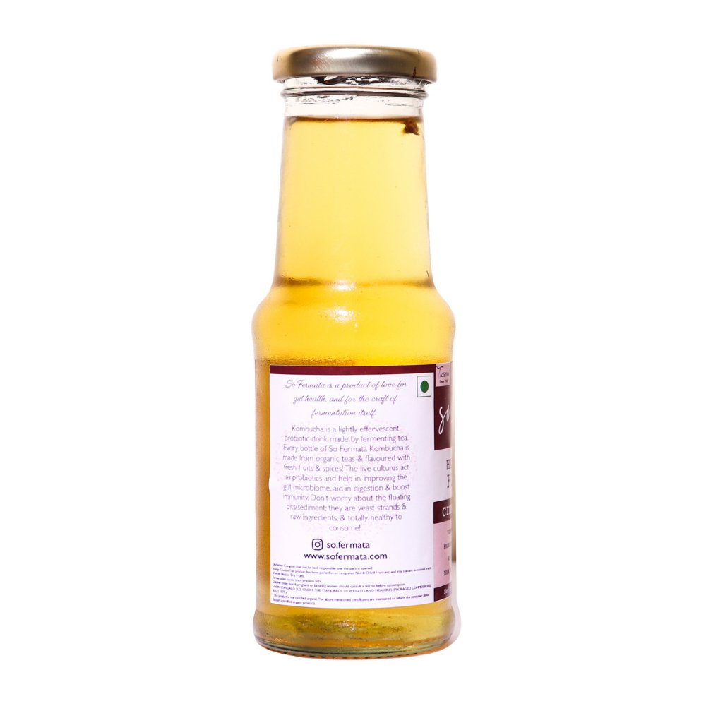 So Fermata Artisanal Kombucha, Fermented Tea, Cinnamon Clove (Set of 3) - Kreate- Kombucha