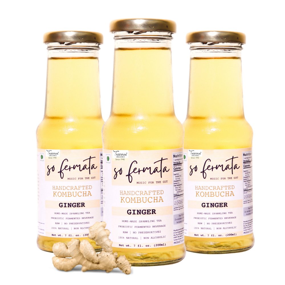 So Fermata Healthy Ginger Artisanal Kombucha Combo (Set of 3) - Kreate- Kombucha