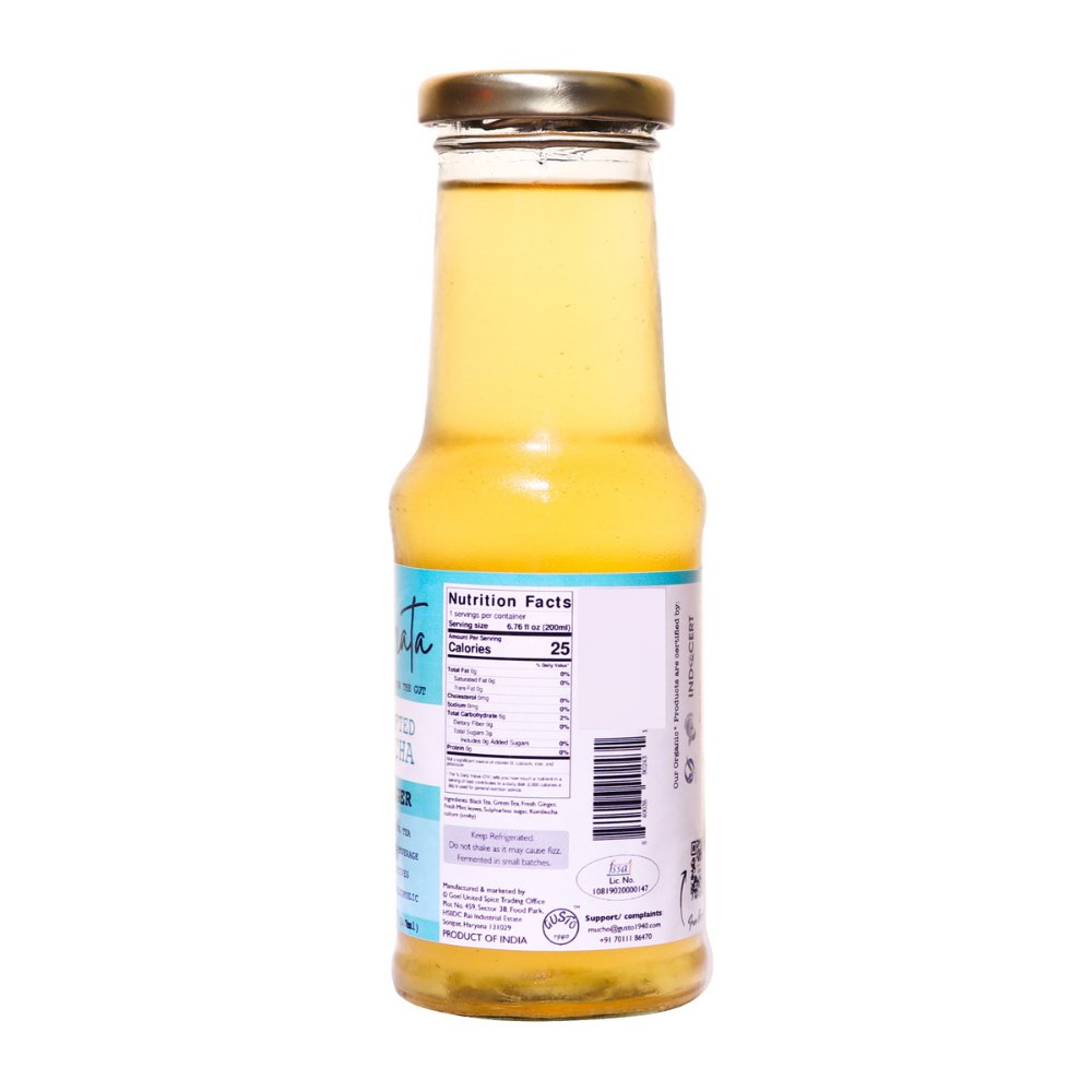 So Fermata Refreshing Mint Ginger Artisanal Kombucha Combo (Set of 3) - Kreate- Kombucha