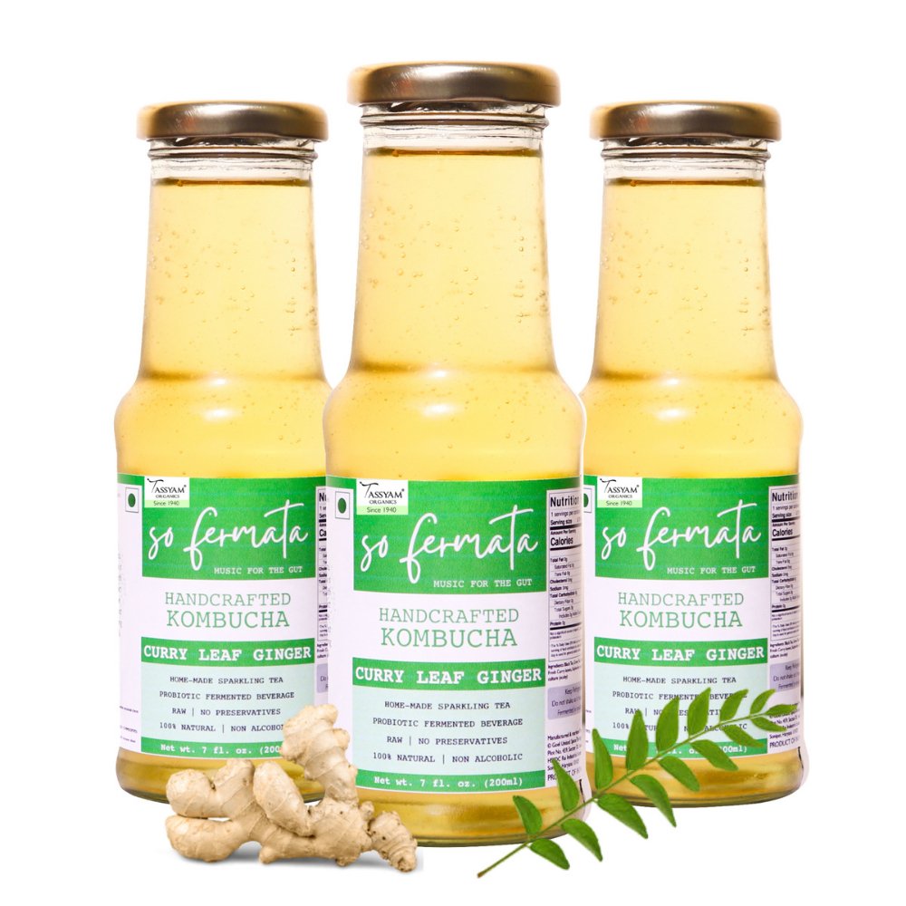 So Fermata Soothing Curry Leaf Ginger Artisanal Kombucha Combo (Set of 3) - Kreate- Kombucha