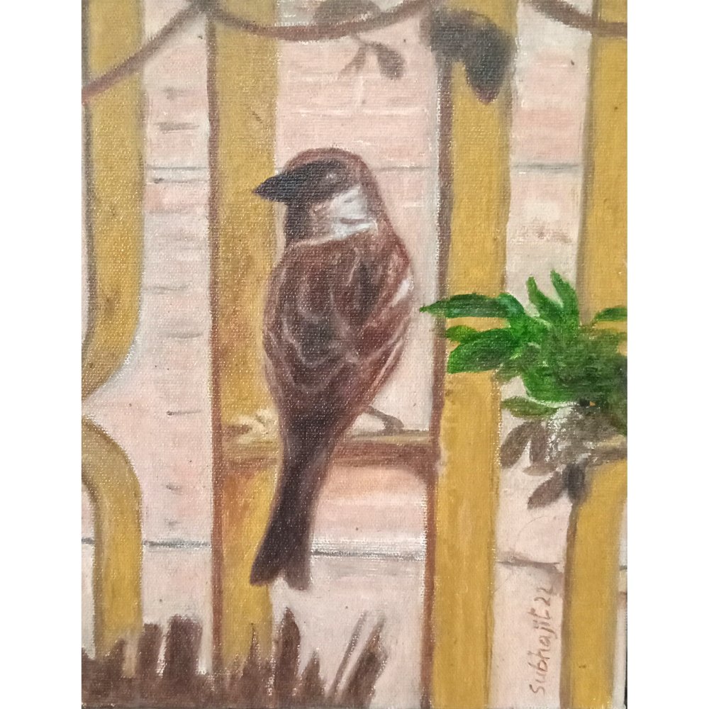 Sparrow Oil Painting - Kreate- Painting