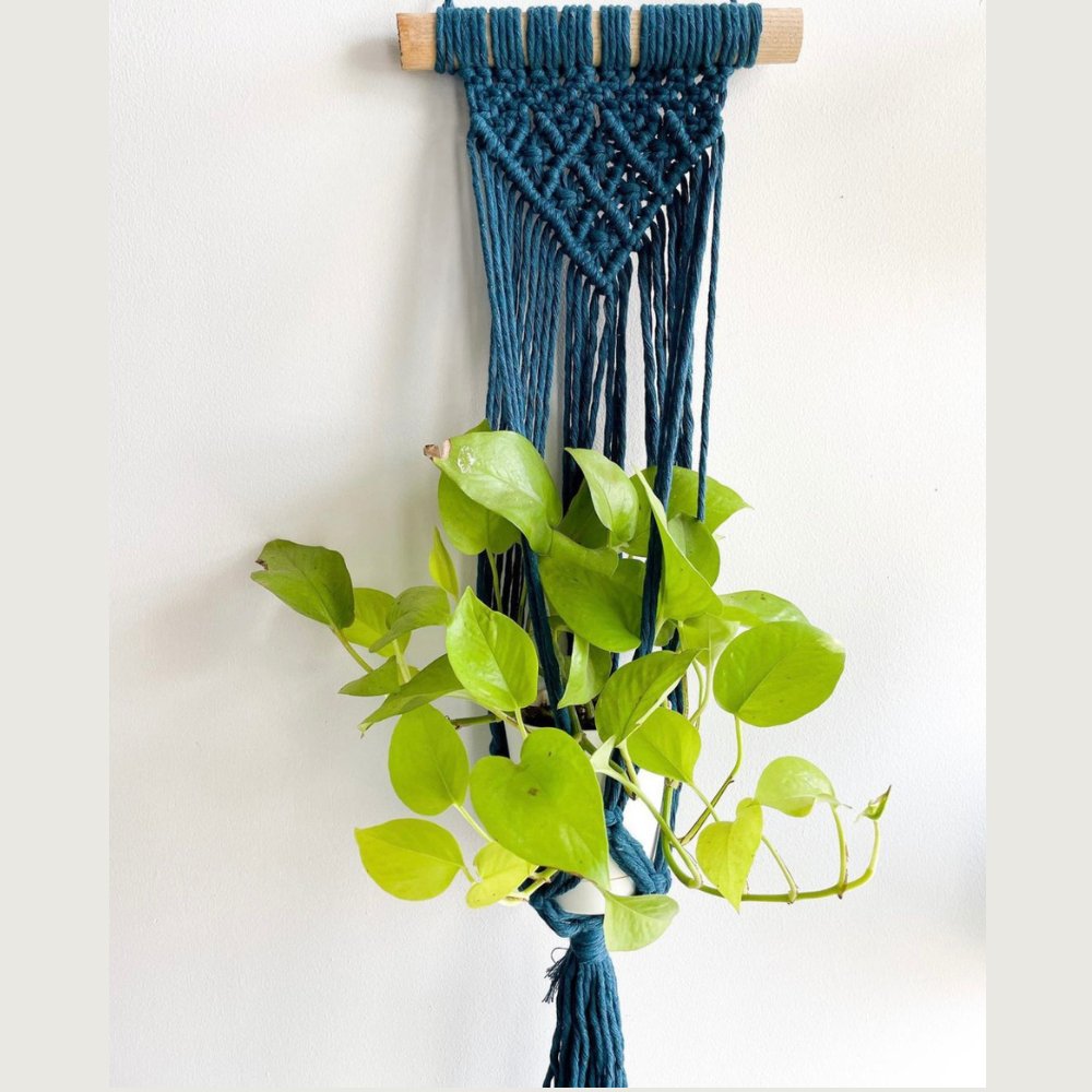 Story of Knots Macrame Wall Hanging Planter - Kreate- Planters & Pots