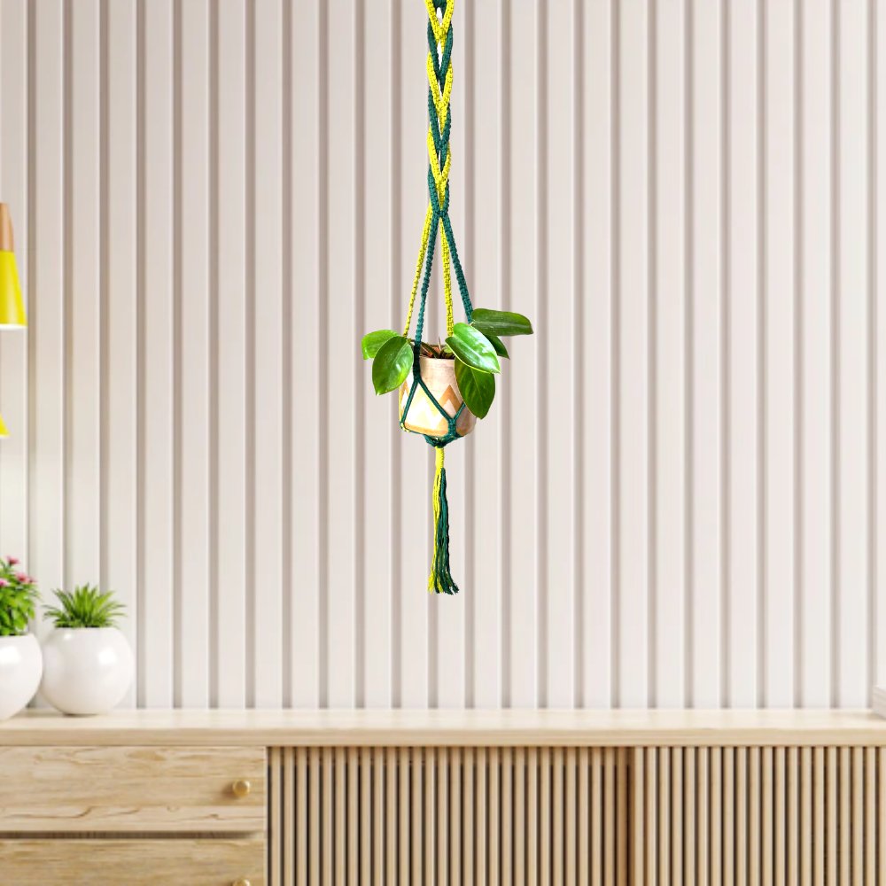 Story of Knots Olive Green and Ice Blue Macrame Planter - Kreate- Planters & Pots