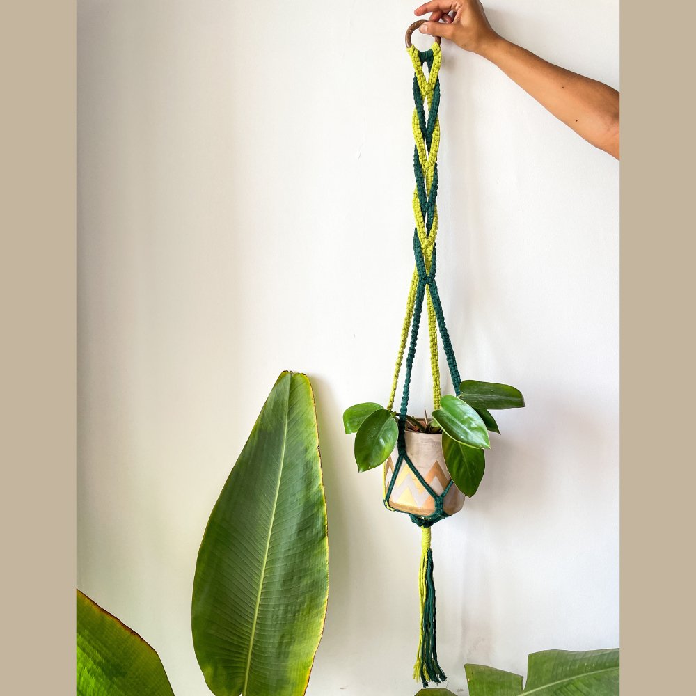 Story of Knots Olive Green and Ice Blue Macrame Planter - Kreate- Planters & Pots