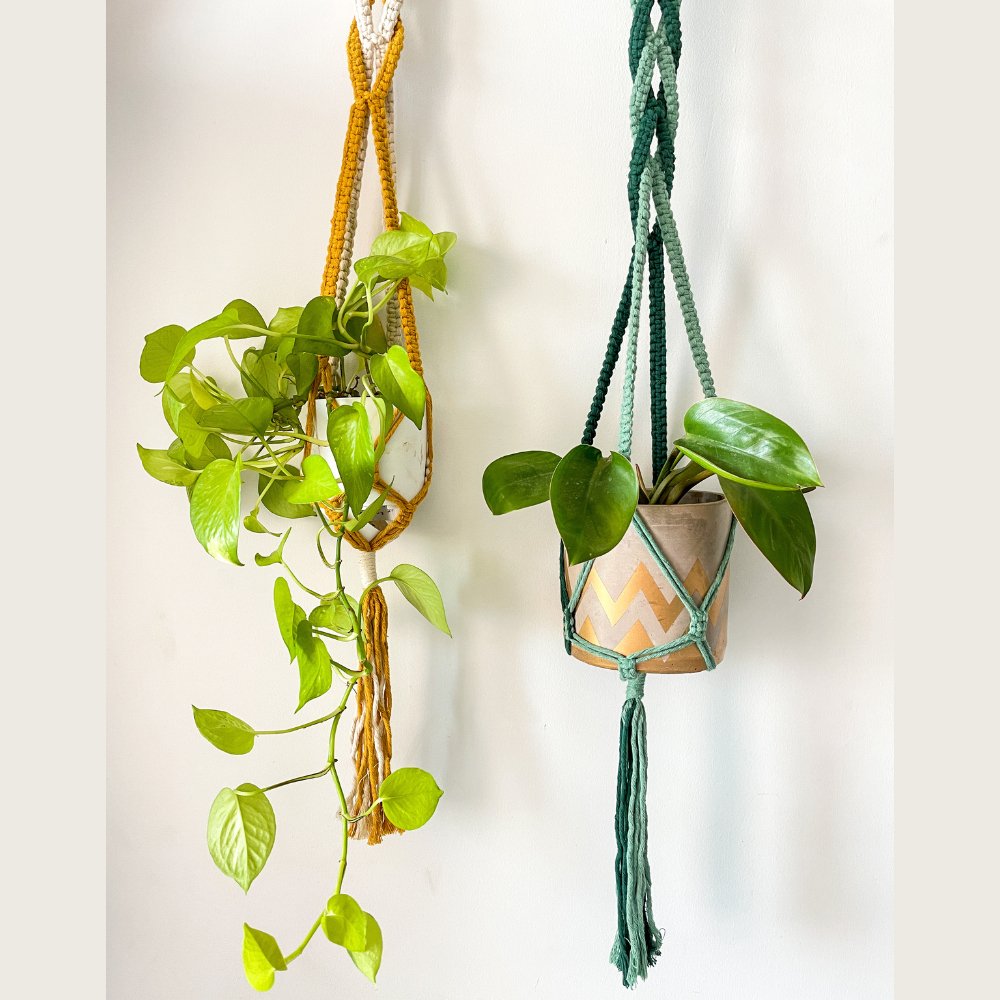 Story of Knots Olive Green and Yellow Macrame Planter - Kreate- Planters & Pots