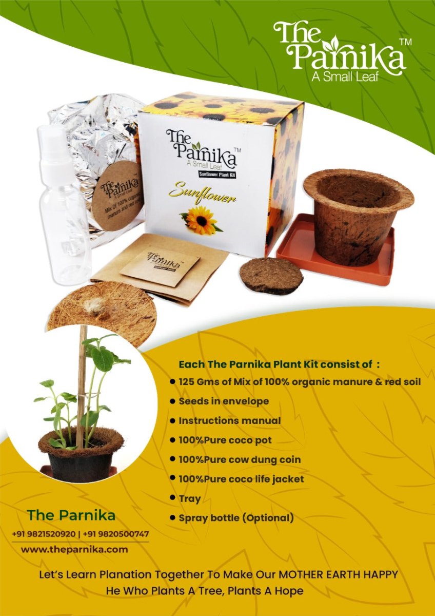 Sunflower Plant Kit - Kreate- Plants