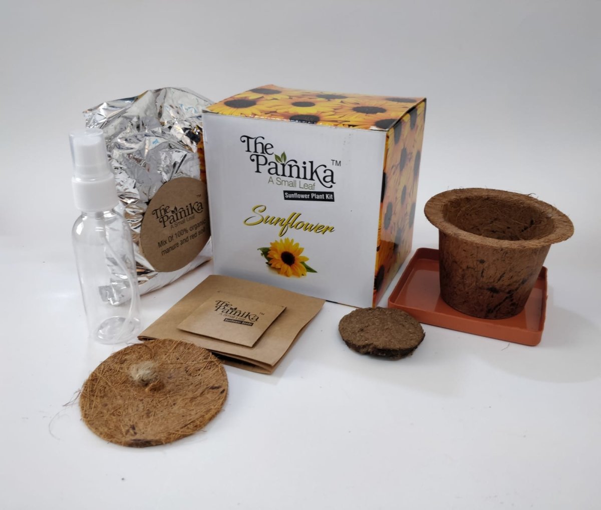Sunflower Plant Kit - Kreate- Plants