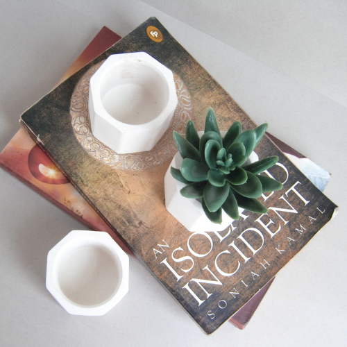 Hexagonal Desk Planter (Single)