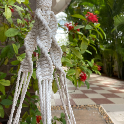Plant Hanger