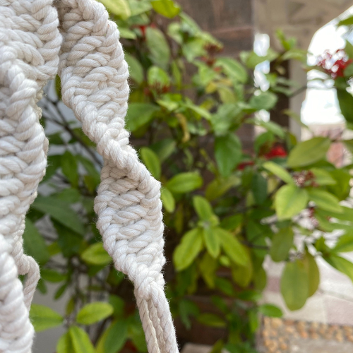 Plant Hanger