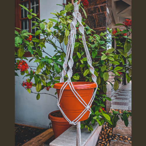 Plant Hanger