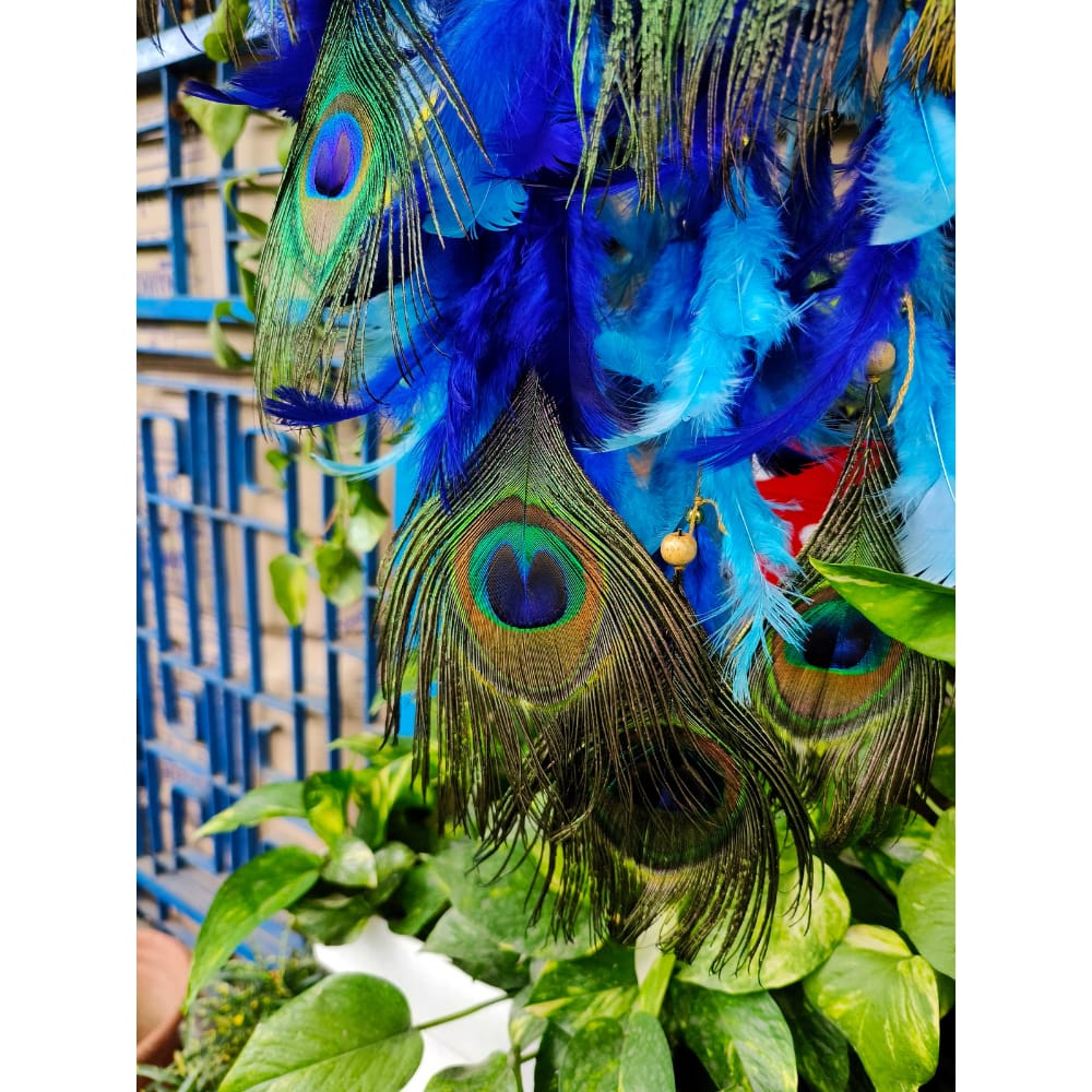 
                  
                    Peacock Dreamcatcher
                  
                