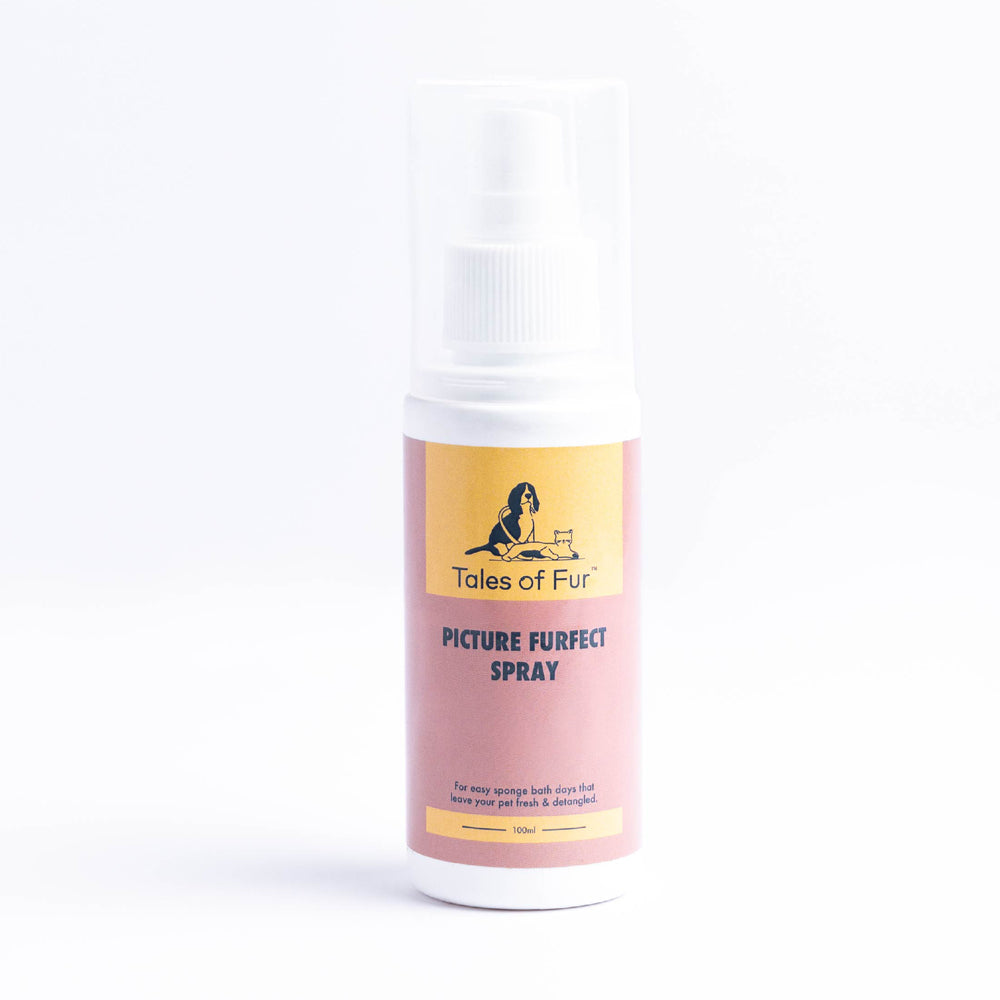 Picture Furfect Spray for Dogs (100ml)