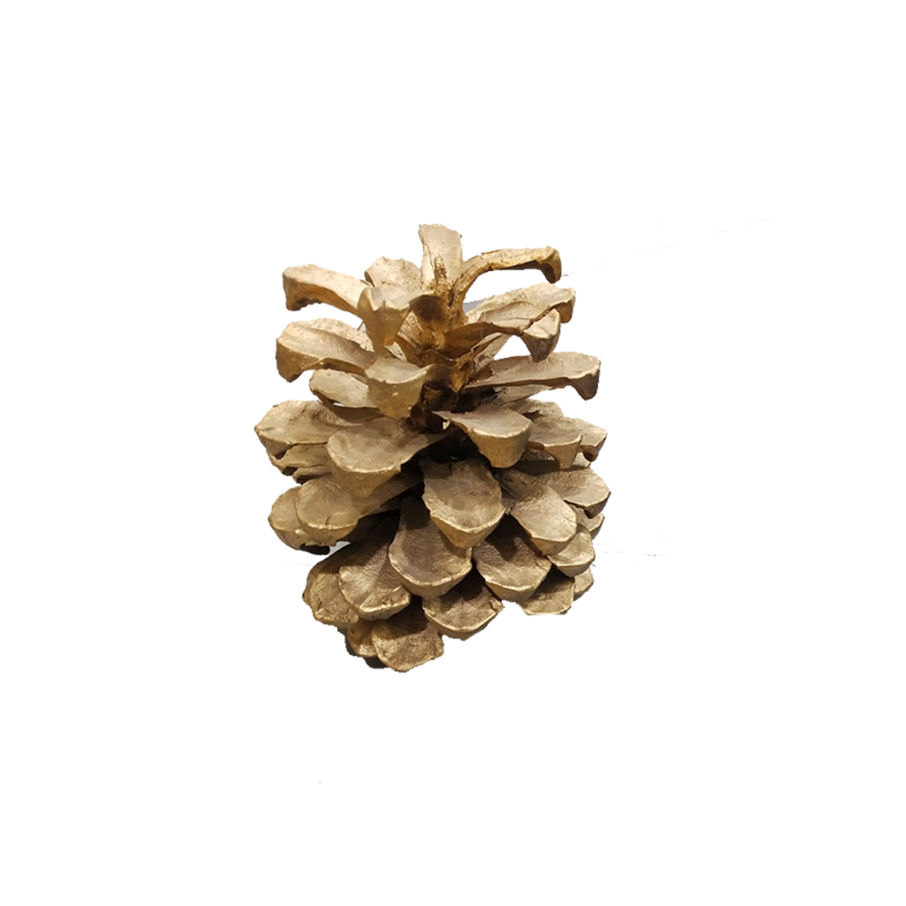Decorative Pine Wood Cone (Set of 2)