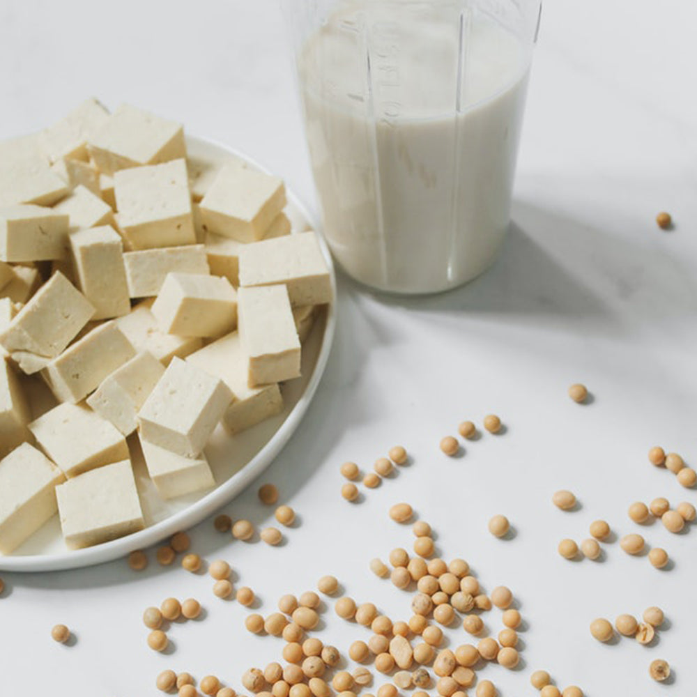 Posh Flavors Tofu Coagulant (Nigari) (5 Sachets)