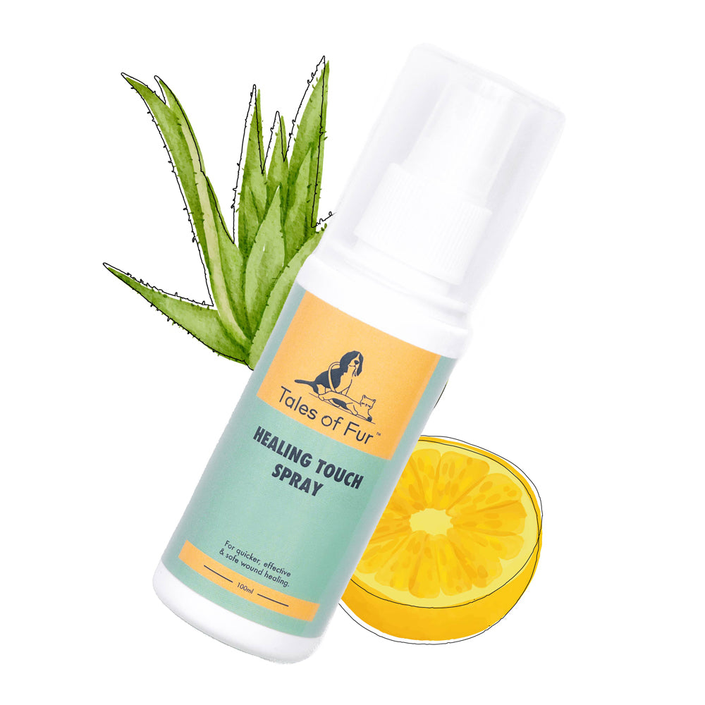 Healing Touch Spray for Dogs (100ml)