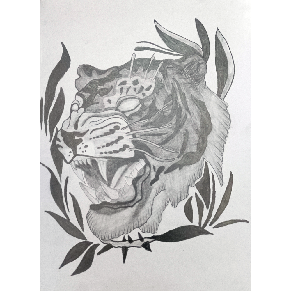 Tiger Sketch