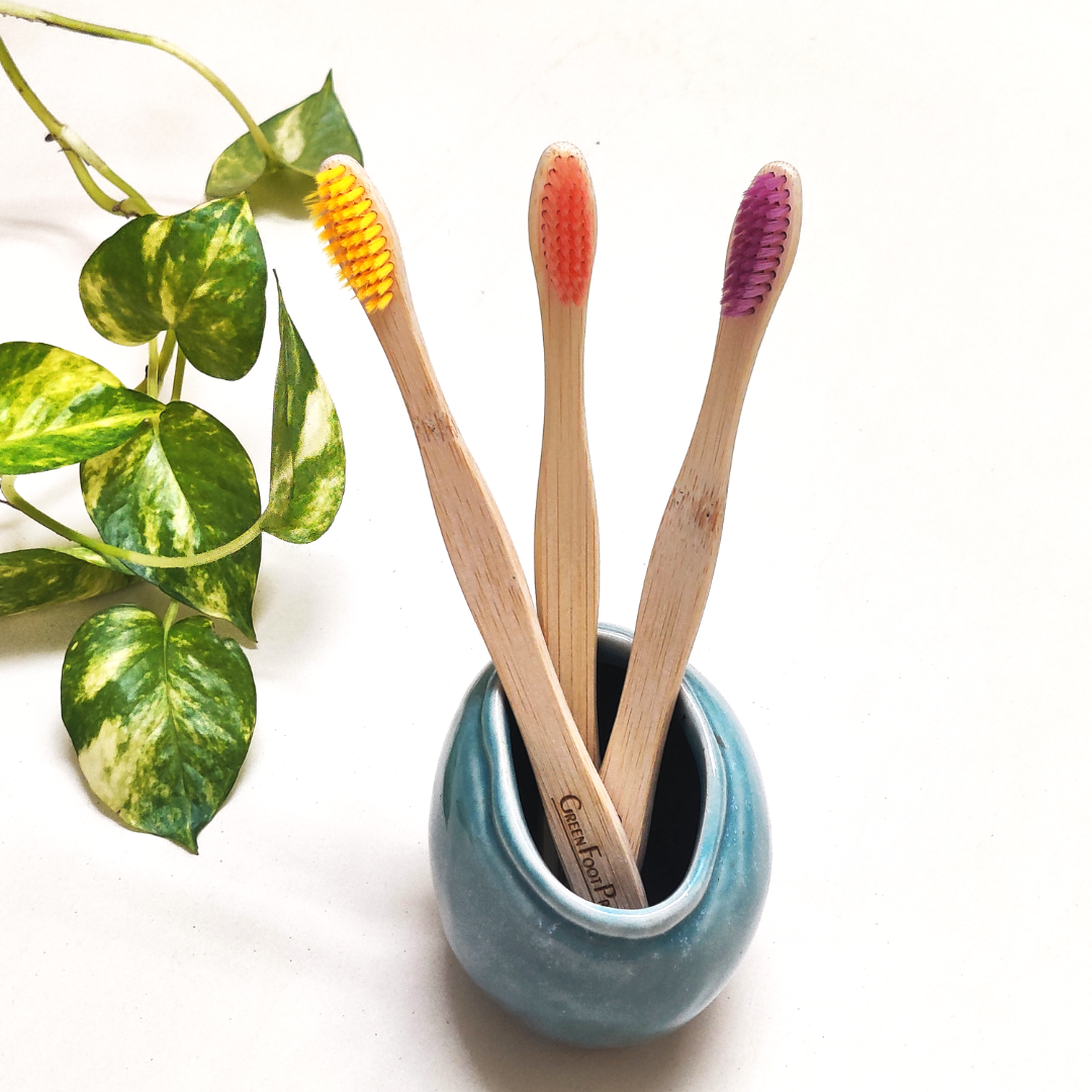 Natural Bamboo Toothbrush - Pack of 2 (Assorted)