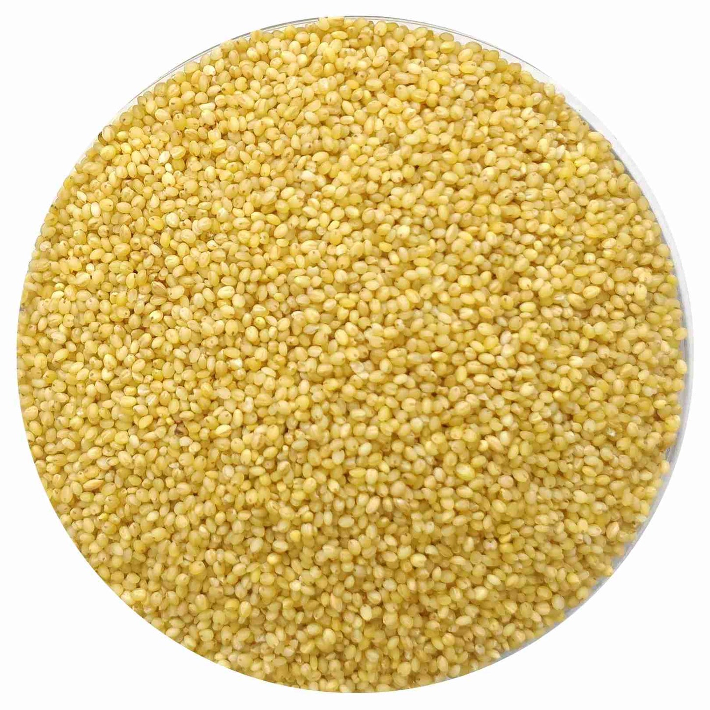 Millet Amma Foxtail Millet Grains Organic (500g)