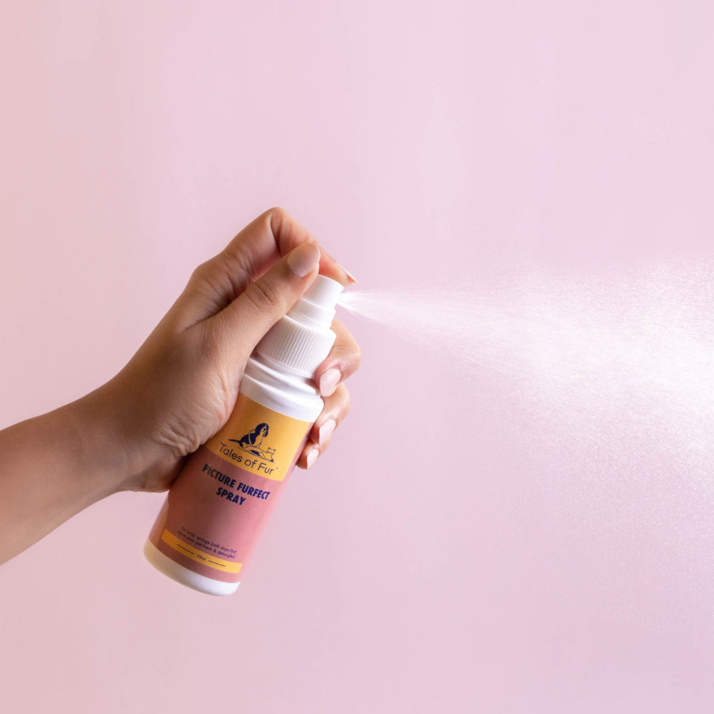Picture Furfect Spray for Dogs (100ml)
