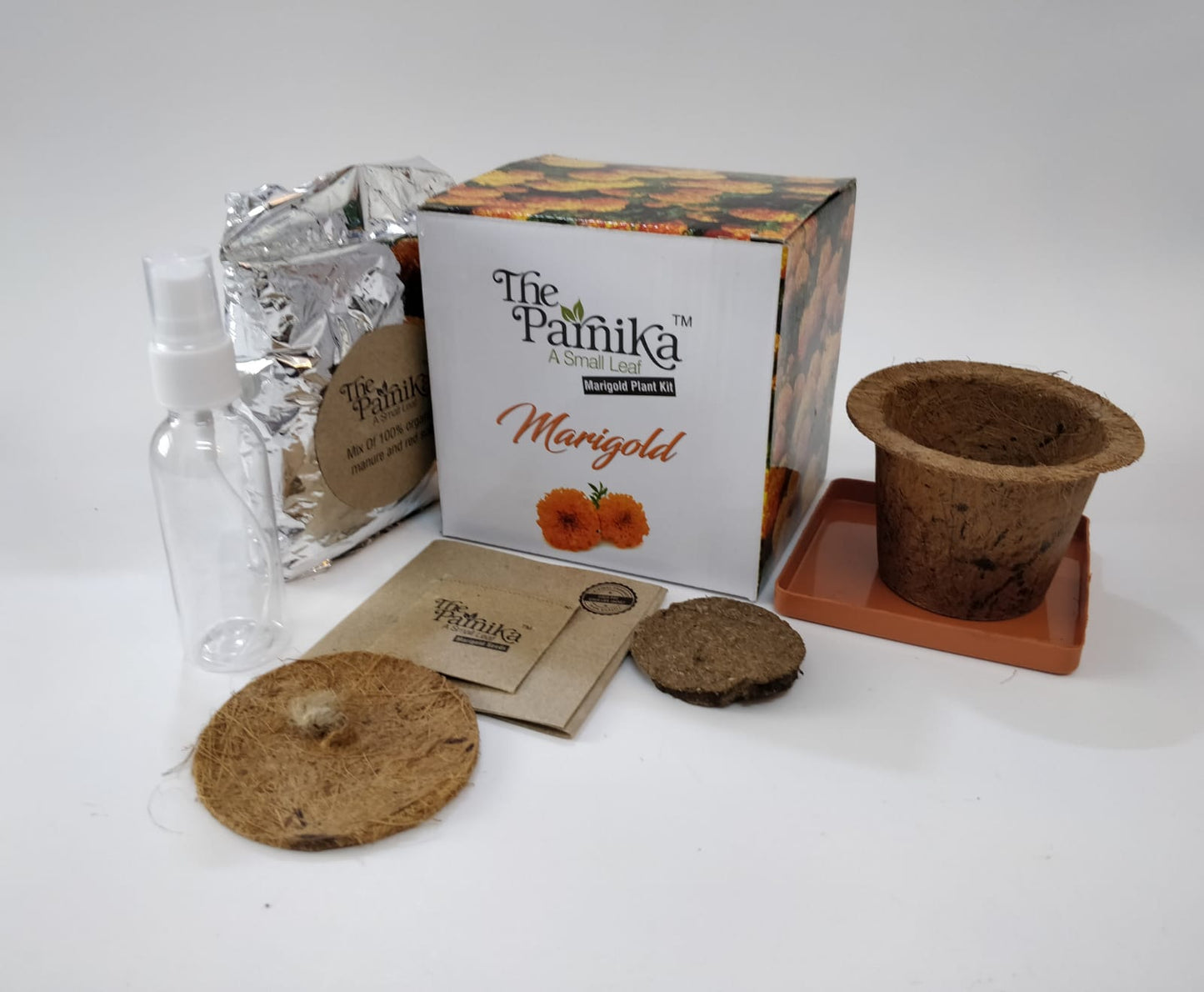 Marigold Plant Kit