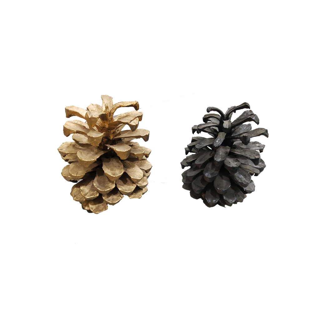 Decorative Pine Wood Cone (Set of 2)
