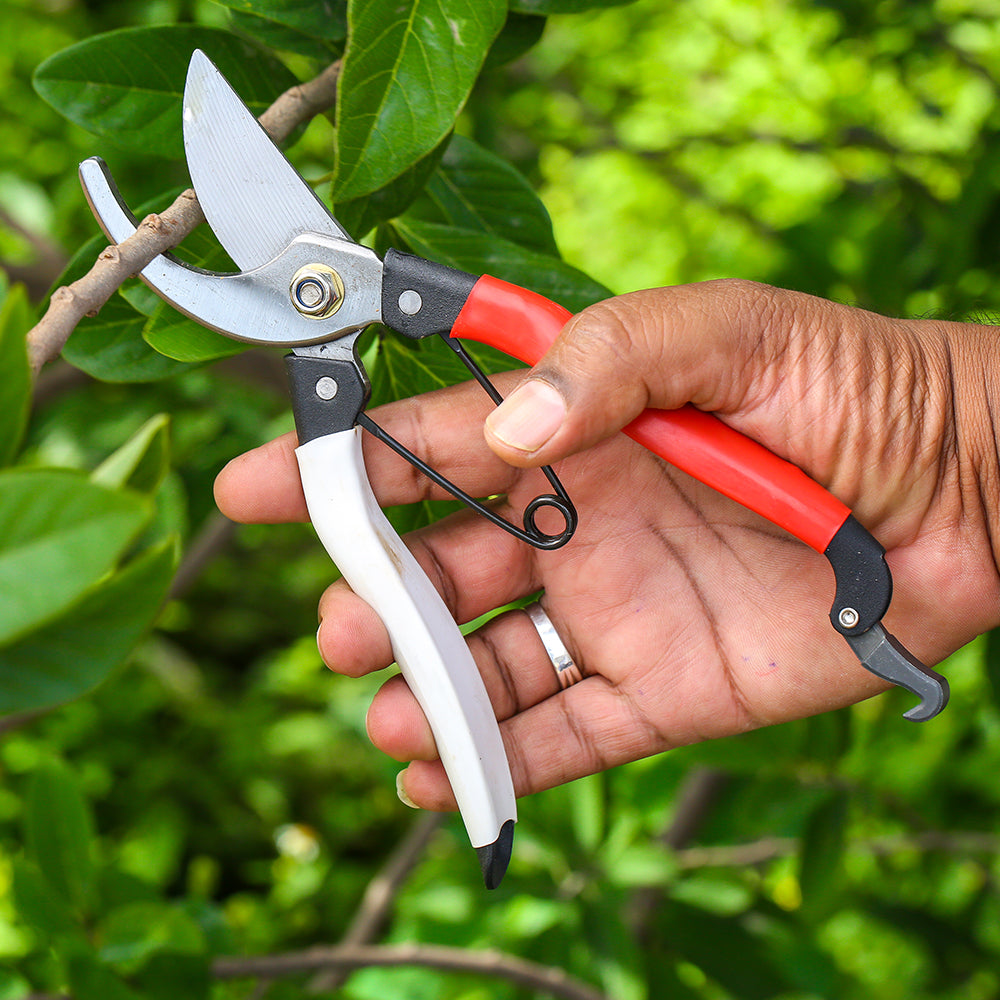 Gardening Pruning Shears