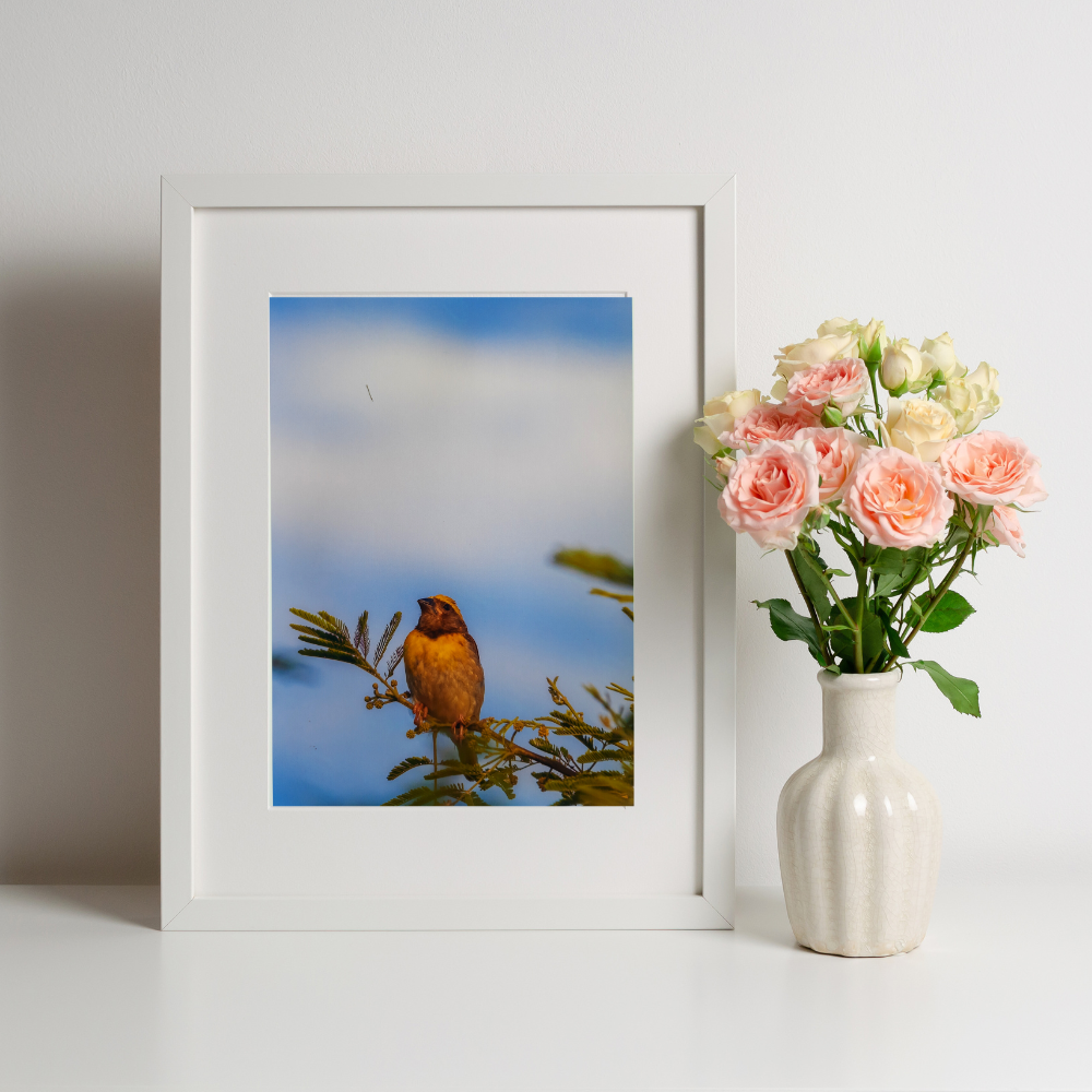 Photo Print