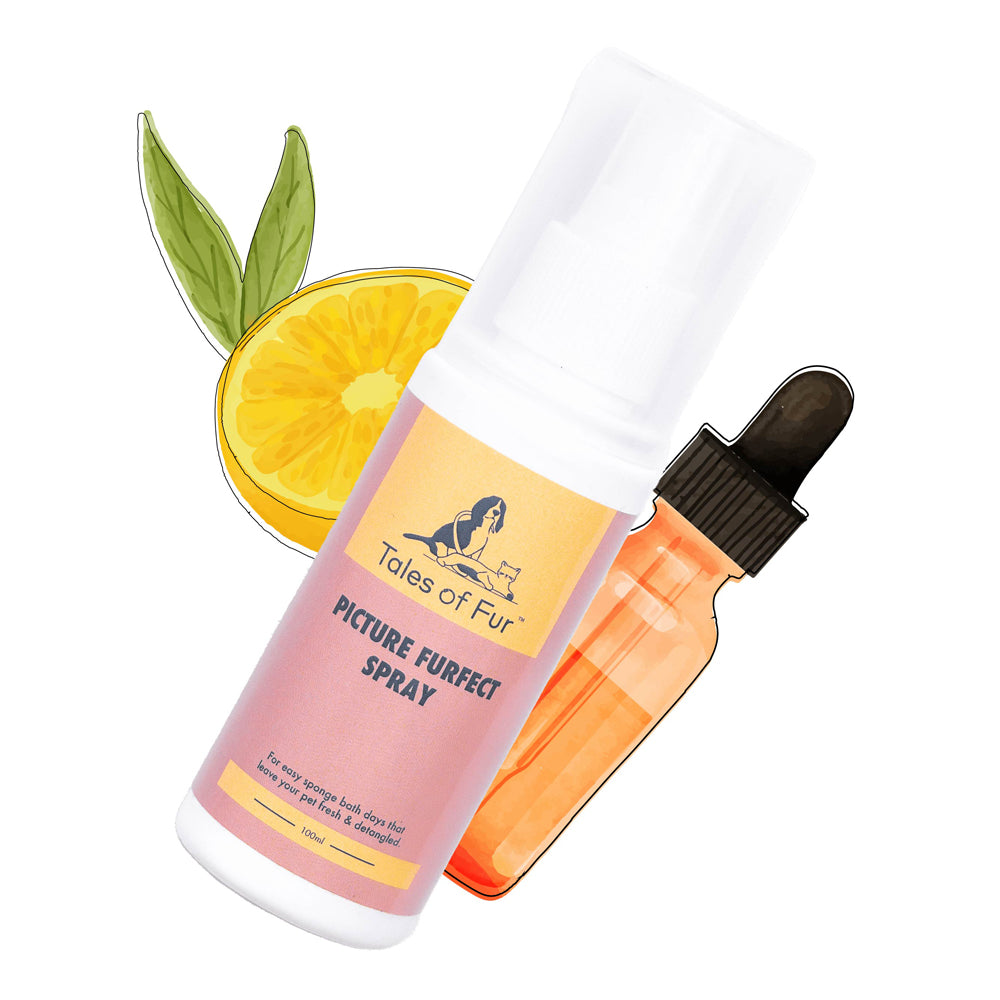 Picture Furfect Spray for Dogs (100ml)