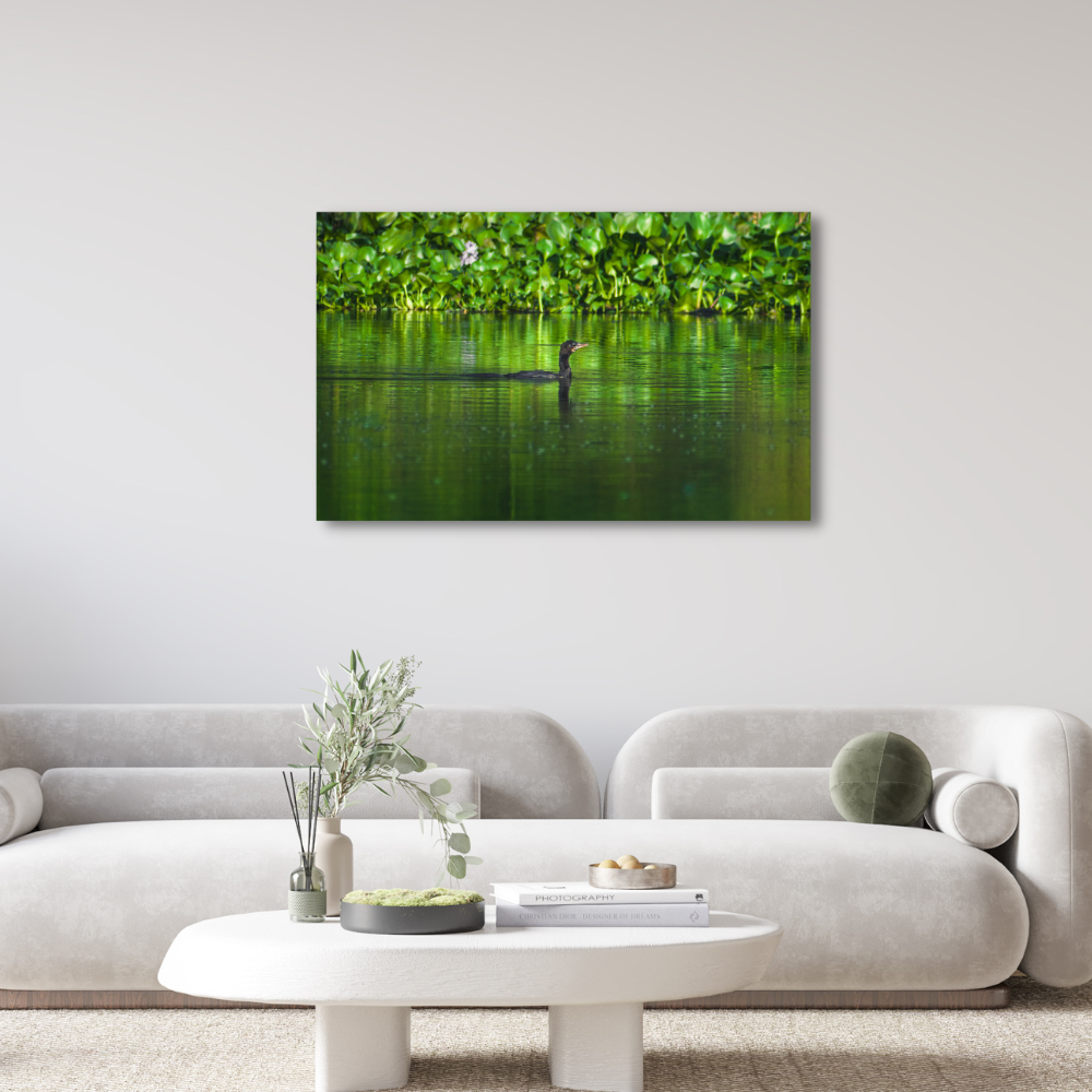 Framed Nature Print