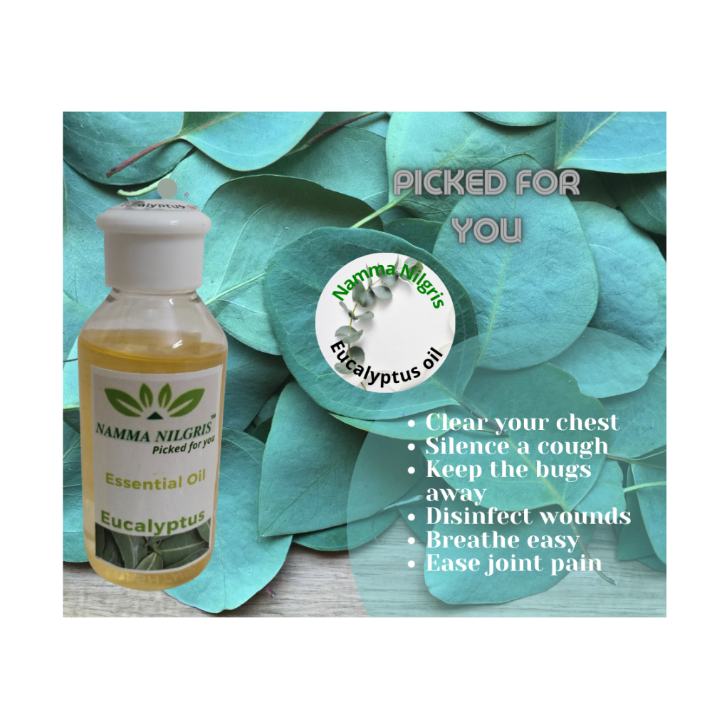 Eucalyptus Oil (50ml)