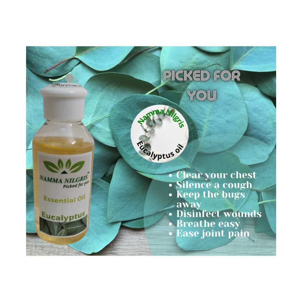 
                  
                    Eucalyptus Oil (50ml)
                  
                