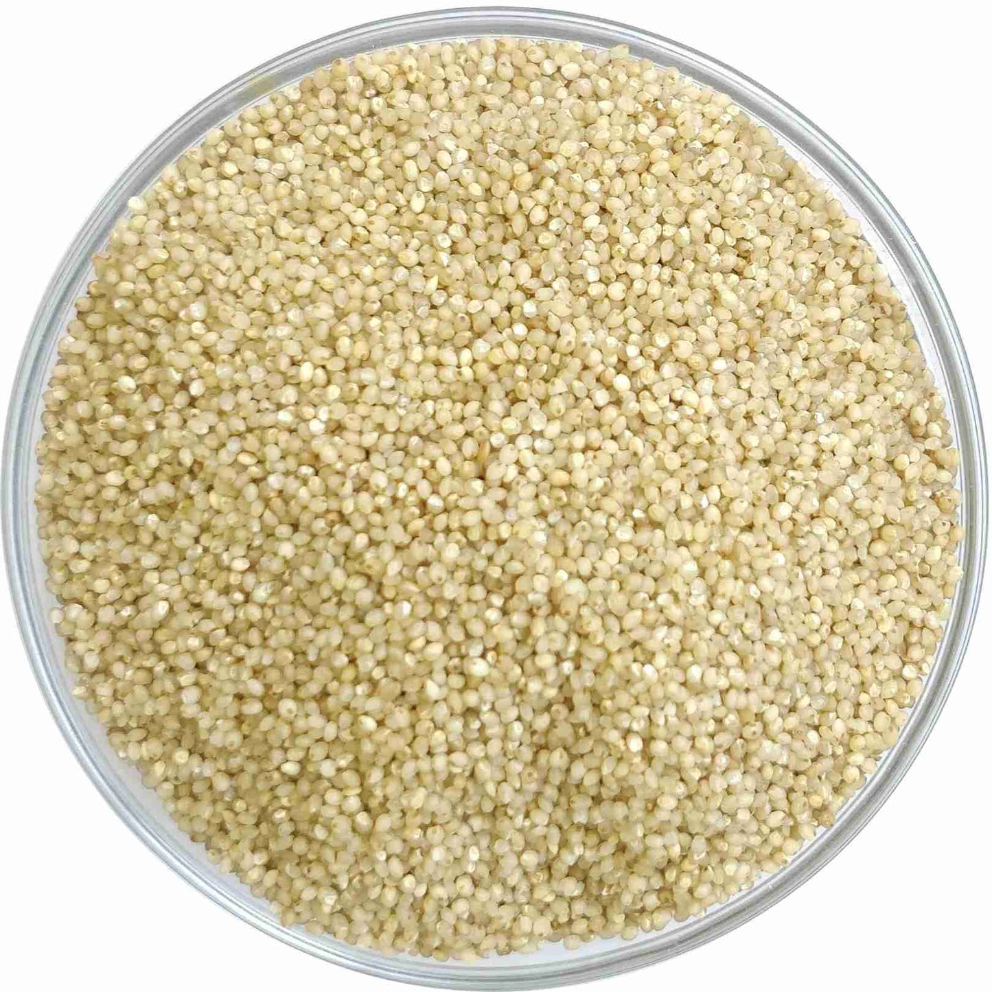 Millet Amma Little Millet Organic (500g)